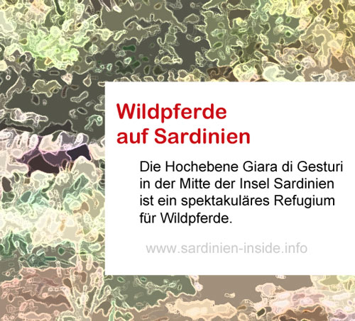 Giara-di-Gesturi-Sardinien Giara-di-Gesturi-Sardinien